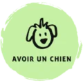 Avoir un chien - Le guide du chien