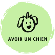 Avoir un chien - Le guide du chien