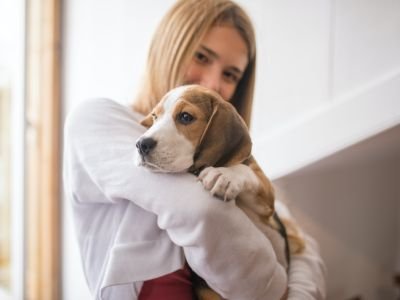 avoir un chien