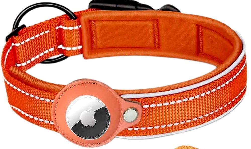 Un collier pour chien avec un traceur GPS Airtag