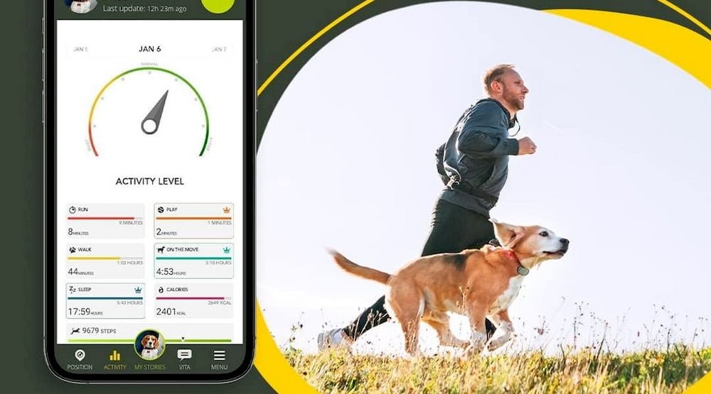 Un homme avec un chien portant un collier GPS Kippy Evo