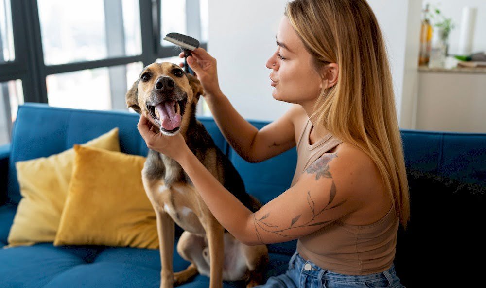 Une femme brossant son chien