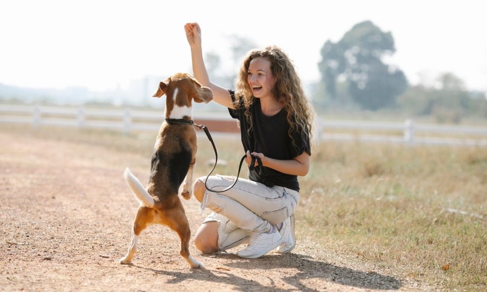 Une femme dressant un chien