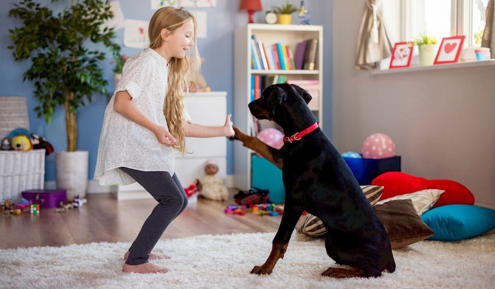 Une femme dressant un chien