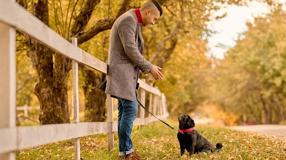 Un homme éduquant son chien