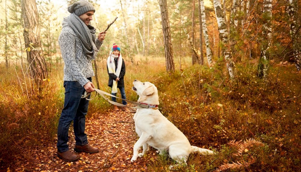 Un homme éduquant son chien