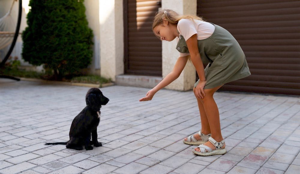 Une petite fille éduquant son chiot