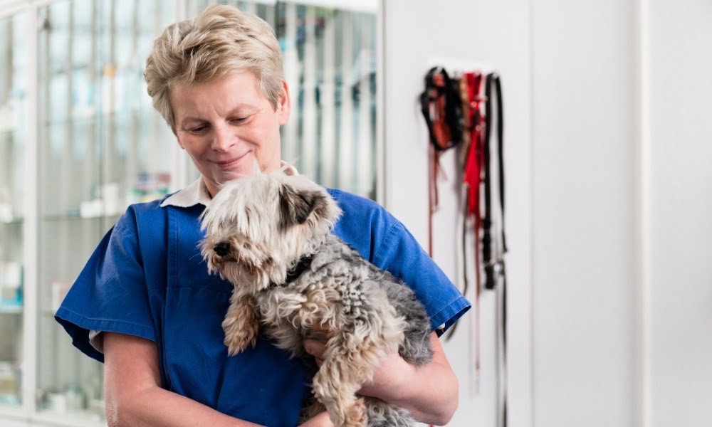 Une femme tenant un chiot en bonne santé