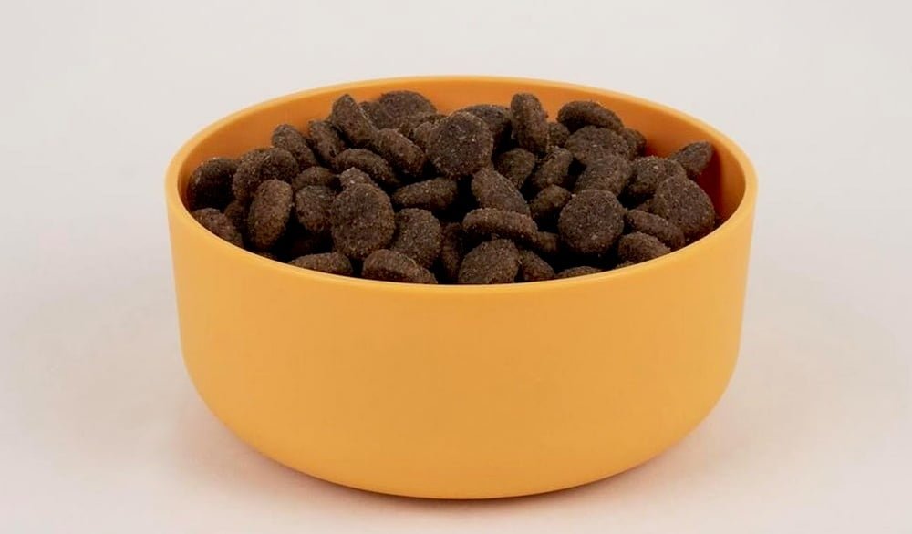 Des croquettes pour chien sans céréales