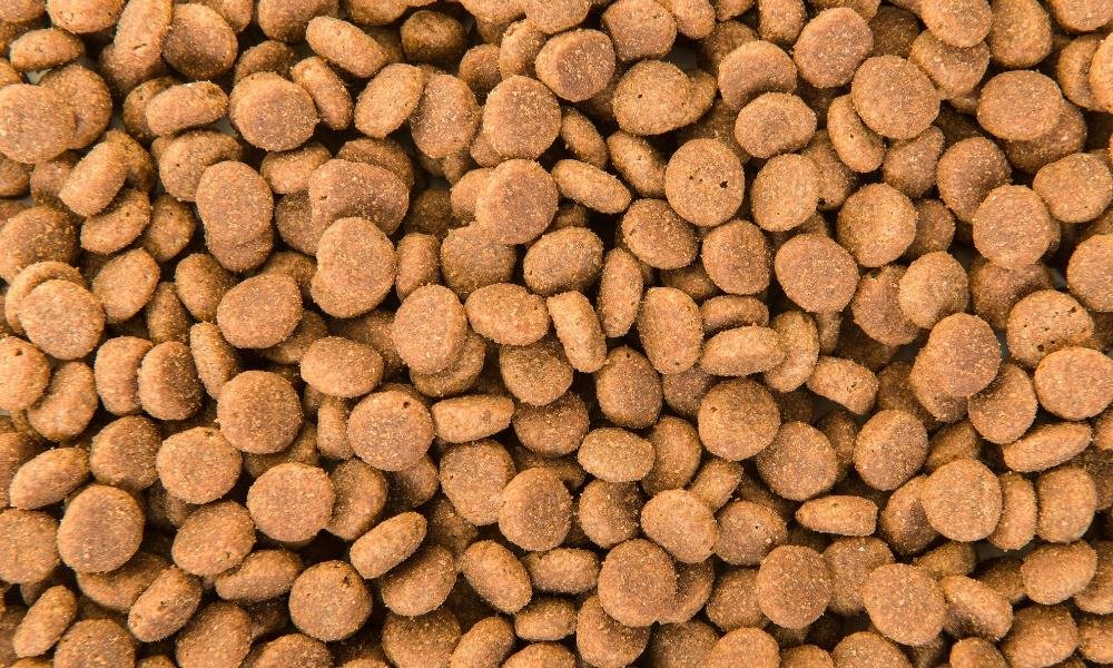 Des croquettes pour chien sans céréales