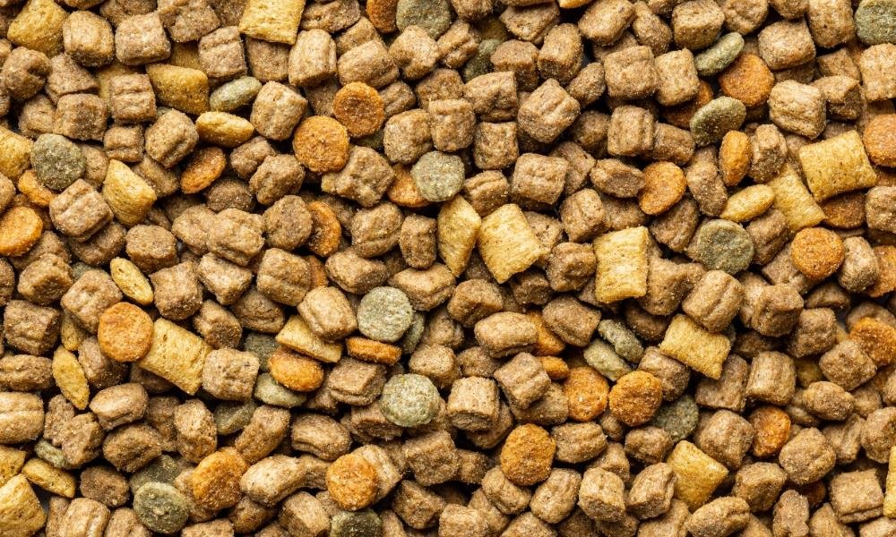 Des croquettes pour chien sans céréales