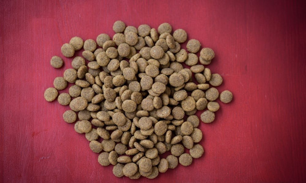 Des croquettes pour chien sans céréales