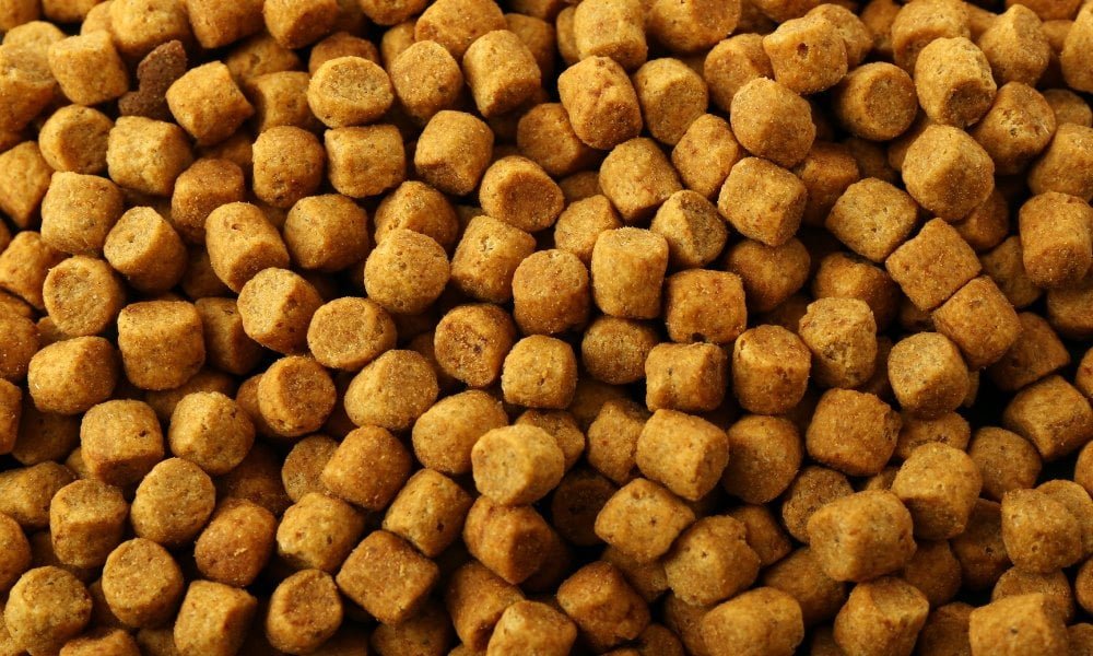 Des croquettes pour chien sans céréales