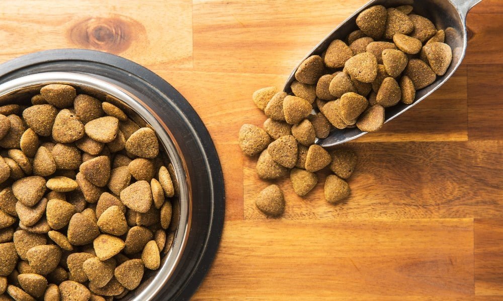 Des croquettes françaises pour chien