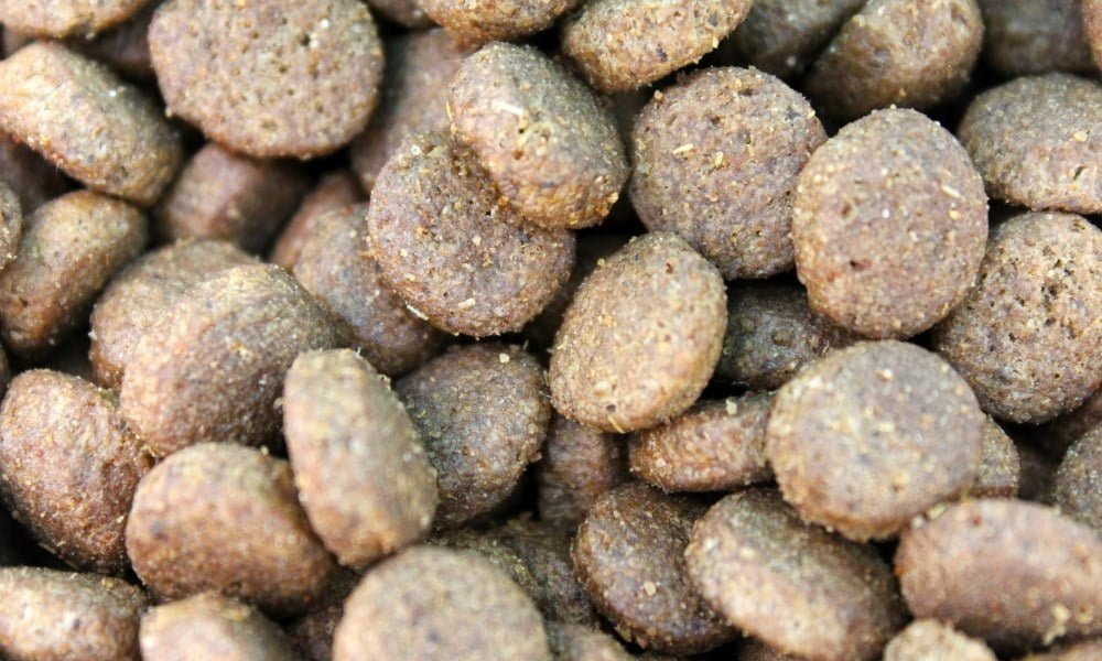 Des croquettes hypoallergénique pour chien