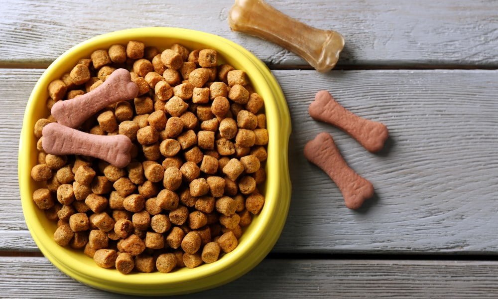 Des croquettes hypoallergénique pour chien