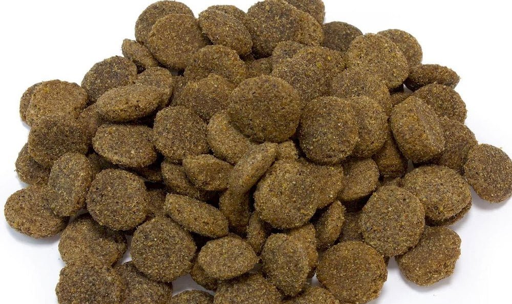 Croquettes pour chien sénior 