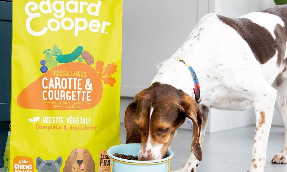 Un chien mangeant des croquettes Edgard Cooper