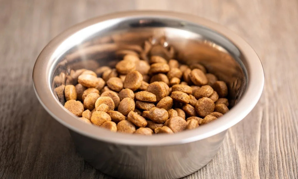 Croquettes pour chien Hays