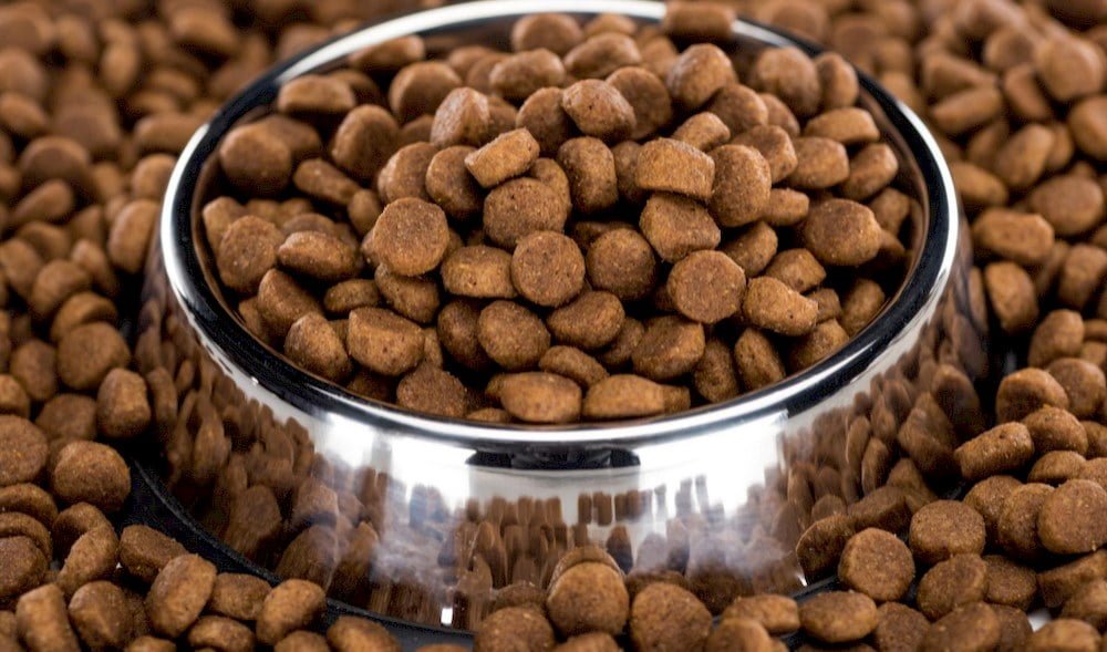 Croquettes pour chien Orijen