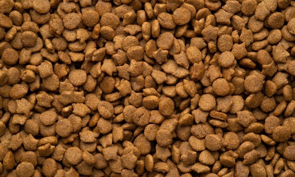 Croquettes pour chien Purina Pro Plan