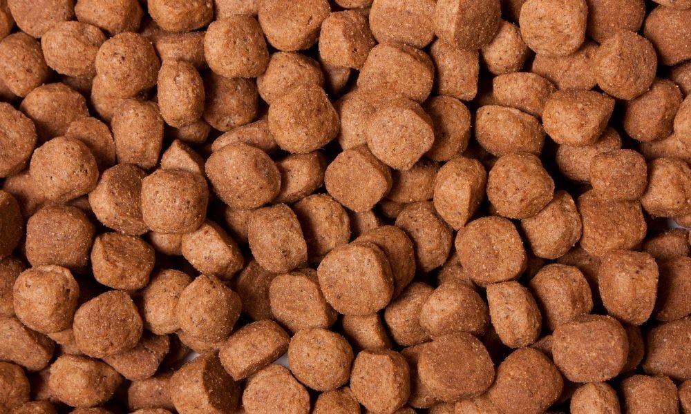 Croquette pour chien stérilisé