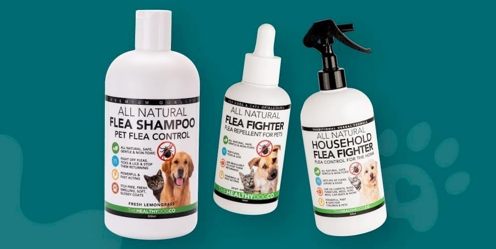 Shampoing anti-puces pour chien